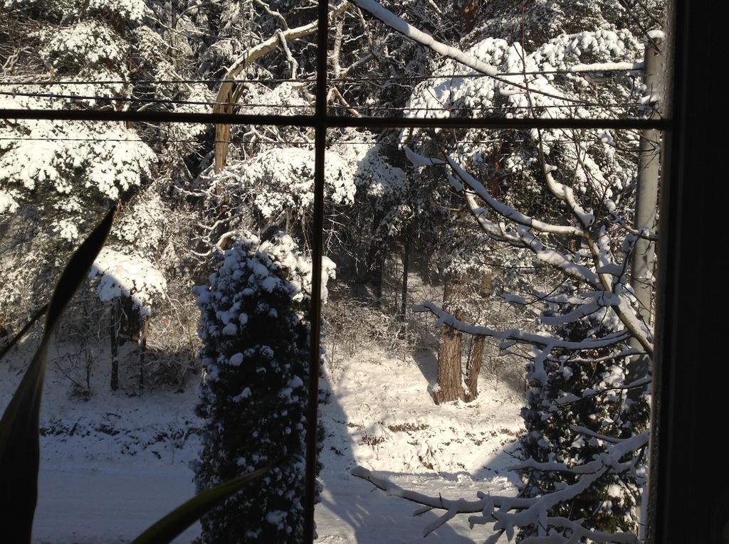 Noclegi Pod Borkiem Szypliszki ภายนอก รูปภาพ